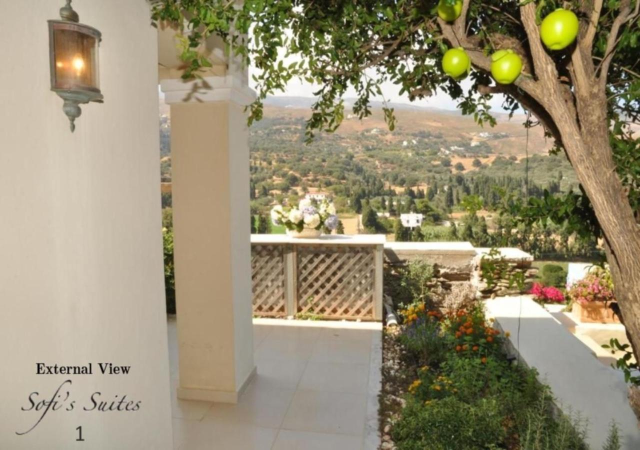 Sofi'S Suites Andros Dış mekan fotoğraf